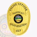 Modern Oval Shield Badge with Starburst Background, 4 Text Ribbon Panels, Braided Border view 1