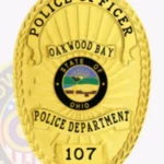 Modern Oval Shield Badge with Starburst Background, 4 Text Ribbon Panels, Braided Border view 2