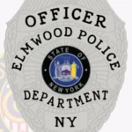 Police Badge Patch B3-E17 view 2