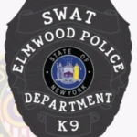 Police Badge Patch B3-E17 view 4