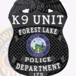 Modern Eagle Top Shield Badge with Textured Background, 5 Text Panels, Line Border view 4