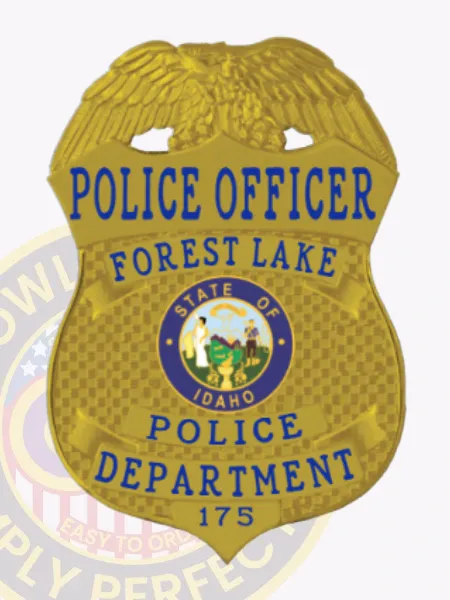 Custom gold eagle top shield metal badge for Forest Lake police officer, displaying bold blue text on gold curved panels around the colorful Idaho state emblem, finished with a safety pin fastener.