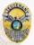 A stunning custom metal badge in gold, featuring silver accents and a safety pin attachment. The badge prominently displays the word "LIEUTENANT" at the top, with an eagle emblem and a circular center showcasing the state seal of California, surrounded by the text "POLICE DEPARTMENT RIVERSTONE" and the number "032" below.