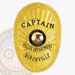 Traditional Oval Badge Shield with Sunburst Background, 3 Text Panels, Braided Edge Border view 1