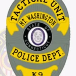 Badge Patch BD10-A2 view 4