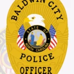 Police Badge Patch BD11-D17 view 2