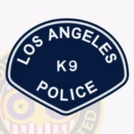 Police Patch C1A2B view 4
