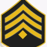 Police Rank Chevron Detective II PRC1-DT Patch view 2