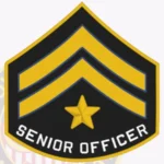 Police Rank Chevron Senior Lead Officer PRC1-PO3+ Patch view 2