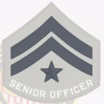 Police Rank Chevron Senior Lead Officer PRC1-PO3+ Patch view 4