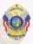 This detailed view shows a custom metal badge for armed security in a vibrant gold color paired with stylish silver panels. At the top, the words "ARMED OFFICER" are prominently displayed in bold lettering, alongside an eagle motif. The center features the California state seal encircled by "APEX ARMED SECURITY," while "ARMED SECURITY SERVICE" and "CA" are clearly marked below. A safety pin attachment allows for convenient and secure wearing of the badge.