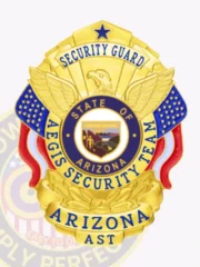 Crafted in a stunning gold color, this custom metal badge for security guard showcases an eagle design flanked by vibrant blue and red accents. The text "SECURITY GUARD" arcs above a central emblem that includes "STATE OF ARIZONA" and "AEGIS SECURITY TEAM," emphasizing its official nature.