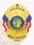 This custom metal badge for a security supervisor shines in gold, highlighting the title "GUARDIAN" at the top. Below this, "SECURITY SUPERVISOR" is emblazoned across a central circular design that represents California's emblem. The badge is embellished with eagle wings and features vibrant red and blue ribbons, complemented by a sturdy safety pin attachment for reliable display.