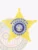 Bail enforcement agent badge made of gold metal in the form of a five-point star, featuring embossed details, a silver circular emblem with the District of Columbia seal, and blue lettering reading "Washington DC Bail Enforcement Agent," attached via safety pin.