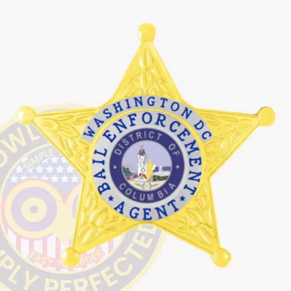 Custom gold metal 5 point star badge with silver panels for bail enforcement agents, showcasing intricate embossing on the star, a silver circular center with the District of Columbia seal, and blue text "Washington DC Bail Enforcement Agent," designed with safety pin backing.