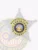 Silver star-shaped metal badge for bail enforcement agents with embossed design, a gold circular center panel showing the District of Columbia seal, encircled by gold text "Washington DC Bail Enforcement Agent," fastened with a safety pin attachment.