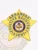 Gold metal 5-point star badge customized for Arkansas fugitive recovery agents, featuring blue lettering encircling the purple and gold Arkansas state seal, designed with a safety pin backing for secure fastening.