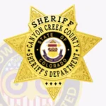 Professional Sheriff 7-Point Star Badge with Laurel Motifs, 4 Text Panels, Top Ribbon view 2