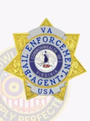 Detailed gold 6 pointed star metal badge with silver panel accents and a circular banner displaying “VA,” “BAIL ENFORCEMENT AGENT,” and “USA,” made for bail enforcement agents with a safety pin fastener.