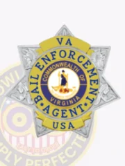 Six-pointed silver metal badge with prominent gold panels and a circle banner that reads “VA” above, “BAIL ENFORCEMENT AGENT” surrounding the center, and “USA” below, designed for bail enforcement agents with a safety pin.