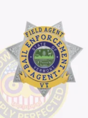 Detailed silver 6 pointed star metal badge with gold panel accents and ribbons showing “FIELD AGENT,” “BAIL ENFORCEMENT AGENT,” and “VT,” crafted for bail enforcement agents with a safety pin fastener.