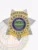 Detailed silver 6 pointed star metal badge with gold panel accents and ribbons showing “FIELD AGENT,” “BAIL ENFORCEMENT AGENT,” and “VT,” crafted for bail enforcement agents with a safety pin fastener.