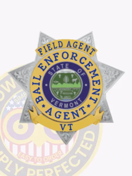 Detailed silver 6 pointed star metal badge with gold panel accents and ribbons showing “FIELD AGENT,” “BAIL ENFORCEMENT AGENT,” and “VT,” crafted for bail enforcement agents with a safety pin fastener.