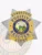 Detailed silver 7 point star metal badge with raised floral and scrollwork embossing, containing gold panels with bold blue text that reads "Fugitive Recovery Agent Idaho," surrounding the colorful Idaho state seal, plus the number "234567891" on the upper banner, crafted as a custom metal badge with safety pin attachment for fugitive recovery agents in Idaho.