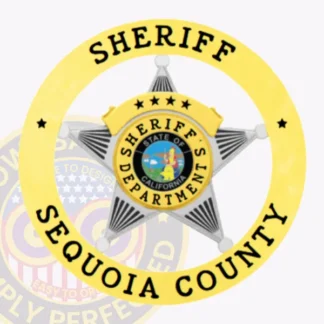 An elegant custom five-point star metal badge for sheriffs, designed in shiny gold with a striking silver star at its center. The badge features "SHERIFF" prominently across the top, while "SEQUOIA COUNTY" curves gracefully along the bottom. In the center, a vibrant state seal of California is encircled by "SHERIFF'S DEPARTMENT," and it includes a safety pin attachment for practicality.