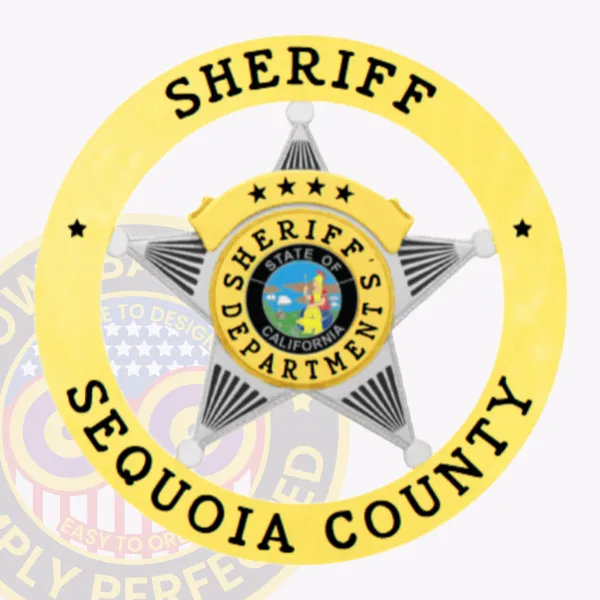 An elegant custom five-point star metal badge for sheriffs, designed in shiny gold with a striking silver star at its center. The badge features "SHERIFF" prominently across the top, while "SEQUOIA COUNTY" curves gracefully along the bottom. In the center, a vibrant state seal of California is encircled by "SHERIFF'S DEPARTMENT," and it includes a safety pin attachment for practicality.