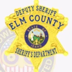 Contemporary Deputy Sheriff 6 Point Star Badge with Round Points, 3 Ribbon view 2