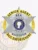 Silver six-pointed star metal badge framed by a gold circle banner reading “SENIOR AGENT” and “BAIL ENFORCEMENT,” including “BEA” and “WASHINGTON” text on the star, attached with a safety pin for bail enforcement agents.