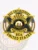 Six-pointed star metal badge in gold and black colors, surrounded by a circular gold banner that says “BAIL ENFORCEMENT” and “UNITED STATES,” including the title “AGENT FIELD DIRECTOR” across the star and the West Virginia emblem centrally placed, made for bail enforcement agents with a safety pin fastener.