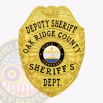 Traditional Deputy Sheriff Badge with Eagle Top, Sunburst Backdrop, 4 Text Panels, Reef Edge view 1