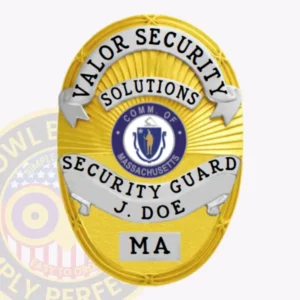 Oval · Gold security guard badge