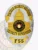 Designed as a custom metal badge for security supervisor, this silver badge is enhanced with attractive gold panels. It showcases an intricate dome design, with "FORTRESS SECURITY SOLUTIONS" arched elegantly above and "SECURITY SUPERVISOR" clearly presented below, emphasizing professionalism and authority.