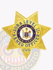 Polished gold metal badge in a seven-point star design for SORA Level II Armed Security, featuring ornate embossed patterns on each point, blue capitalized text circling the New Jersey state seal, and a unique number at the bottom, secured by a safety pin attachment.
