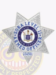SORA Level II Armed Security custom silver metal badge shaped as a seven-point star, displaying the New Jersey state seal in the middle with clear blue text "SORA LEVEL II ARMED OFFICER," and a badge number "234561" at the base, equipped with a safety pin.