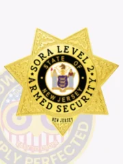 Polished gold seven-point star metal badge designed for SORA Level II Armed Security, featuring black capitalized text circling the State of New Jersey seal, detailed embossed designs on each point, and a "NEW JERSEY" label at the bottom, secured by a safety pin attachment.