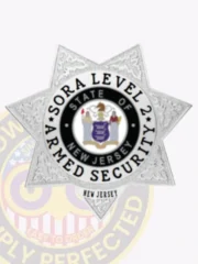 SORA Level II Armed Security custom silver metal badge shaped as a seven-pointed star, showing the New Jersey state seal in the center with clear black text "SORA LEVEL 2 ARMED SECURITY," and a "NEW JERSEY" inscription at the base, equipped with a safety pin.
