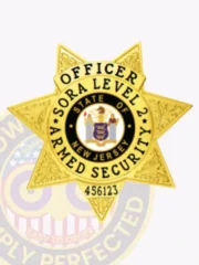 Polished gold metal badge in a seven-point star design for SORA Level II Armed Security, featuring ornate embossed patterns on each point, black capitalized text circling the New Jersey state seal, and a unique number at the bottom, secured by a safety pin attachment.