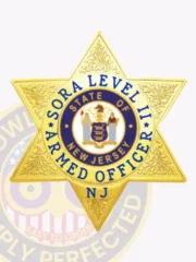 Six-point star gold metal badge customized for SORA Level II armed officers, featuring subtle leaf embossing on star tips, a blue circle around the New Jersey state seal with text "SORA LEVEL II ARMED OFFICER NJ," designed with a safety pin attachment for easy placement.