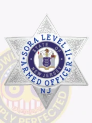 Custom silver metal badge shaped as a six-point star for SORA Level II armed officers, embossed with detailed leaf patterns on each point, a blue and white circle around the New Jersey state seal with bold text "SORA LEVEL II ARMED OFFICER NJ," fitted with a safety pin on the back.