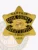 Gold six-point star badge for Cook County sheriff's office captain, showcasing black enamel text and raised Illinois state seal detail, designed with a safety pin attachment