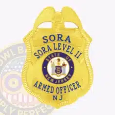 Image of a custom gold eagle top metal badge for sora level 2 with safety pin attachment designed for security officers, featuring a bright gold shield with textured edges, an eagle symbol on top, blue lettering, and the new jersey state seal centrally located.