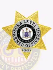 Metal badge in gold with silver panels shaped as a seven-point star, labeled "SORA Level II Armed Officer," featuring the New Jersey state seal and a safety pin attachment for easy wear.