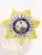 Detailed photo of a custom gold metal badge shaped as a 7-point star with silver accent panels, labeled 'Fugitive Recovery Agent' and 'State of Florida', equipped with a safety pin attachment.