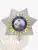 Close-up of a silver 7-point star badge with gold accent panels for Florida Fugitive Recovery Agents, detailed embossed design and secured with a safety pin fastener.