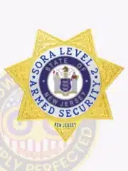 Metal badge in gold with silver panels shaped as a seven-point star, labeled "SORA Level 2 Armed Security," featuring the New Jersey state seal and a safety pin attachment for easy wear.