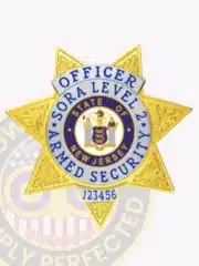 SORA Level 2 officer badge in a custom gold 7-point star shape with silver panels, showcasing the official State of New Jersey seal at the center, 'OFFICER SORA LEVEL 2 ARMED SECURITY' text in blue on a silver ring, and a unique serial number at the bottom, secured by a safety pin.